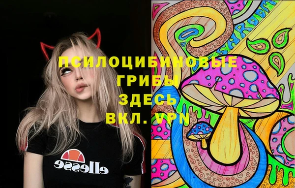 ПСИЛОЦИБИНОВЫЕ ГРИБЫ Верхнеуральск