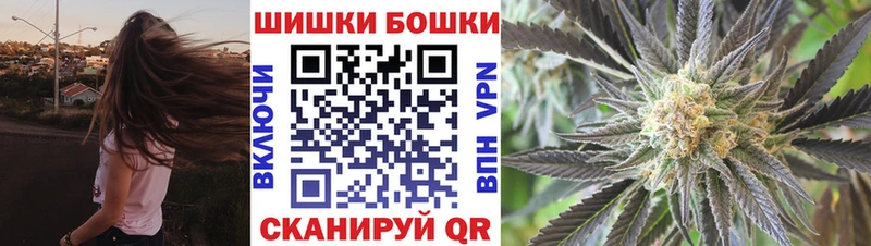 сколько стоит  Стерлитамак  Канабис сатива 